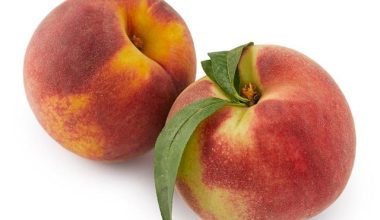 Tesco peach